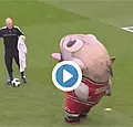 Haha! Gigantische Derby County-mascotte slokt materiaalman op