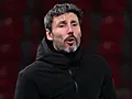 <strong>Van Bommel moet zich bedwingen: ‘chaos’ bij Antwerp FC</strong>