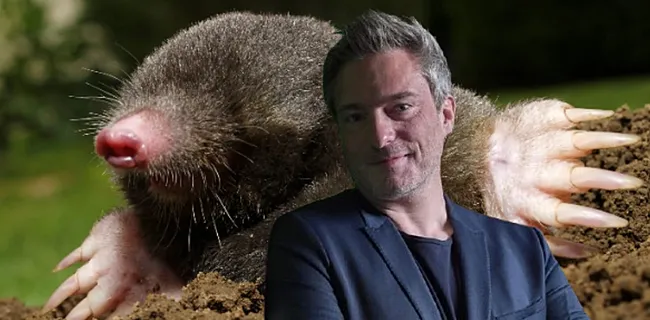 Gilles De Coster slaat fans van De Mol met verstomming