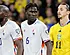 <strong>Ibrahimovic reageert nors na complimenten Lukaku</strong>