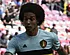 <strong>EK met Belgisch randje: van Witsel en Mangala tot Juhasz en Nemec</strong>