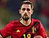 <strong>'Premier League-club meldt zich bij Januzaj'</strong>